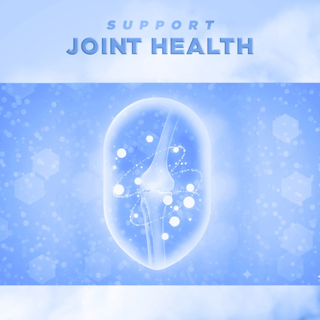 Deepsea Collagen PRO+ 140g